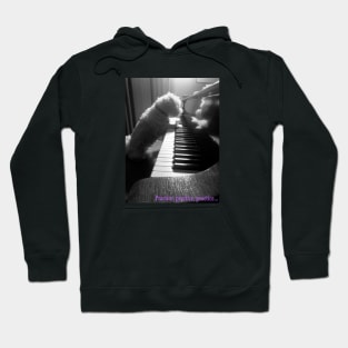 The hound of music Hoodie